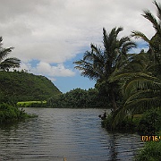 Picture 027